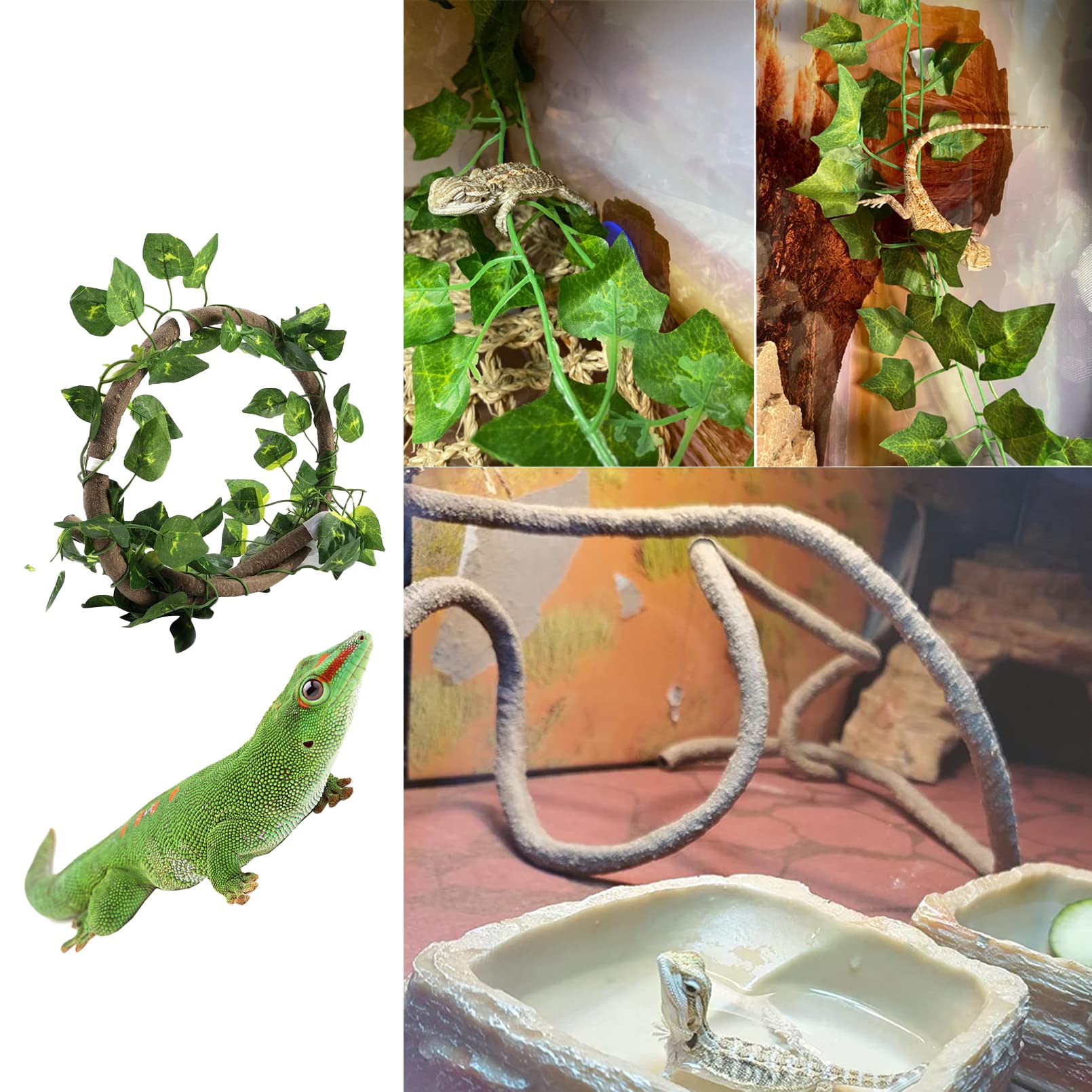 MUYG enredaderas colgantes para terrario, decoran y facilitan trepar.