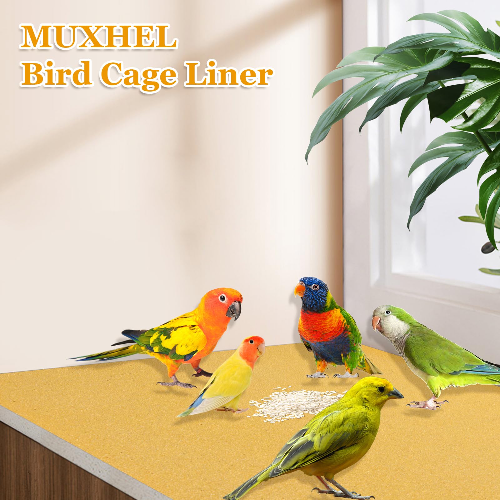 Muxhel servicio al cliente grava aves 11x17, asistencia rápida.