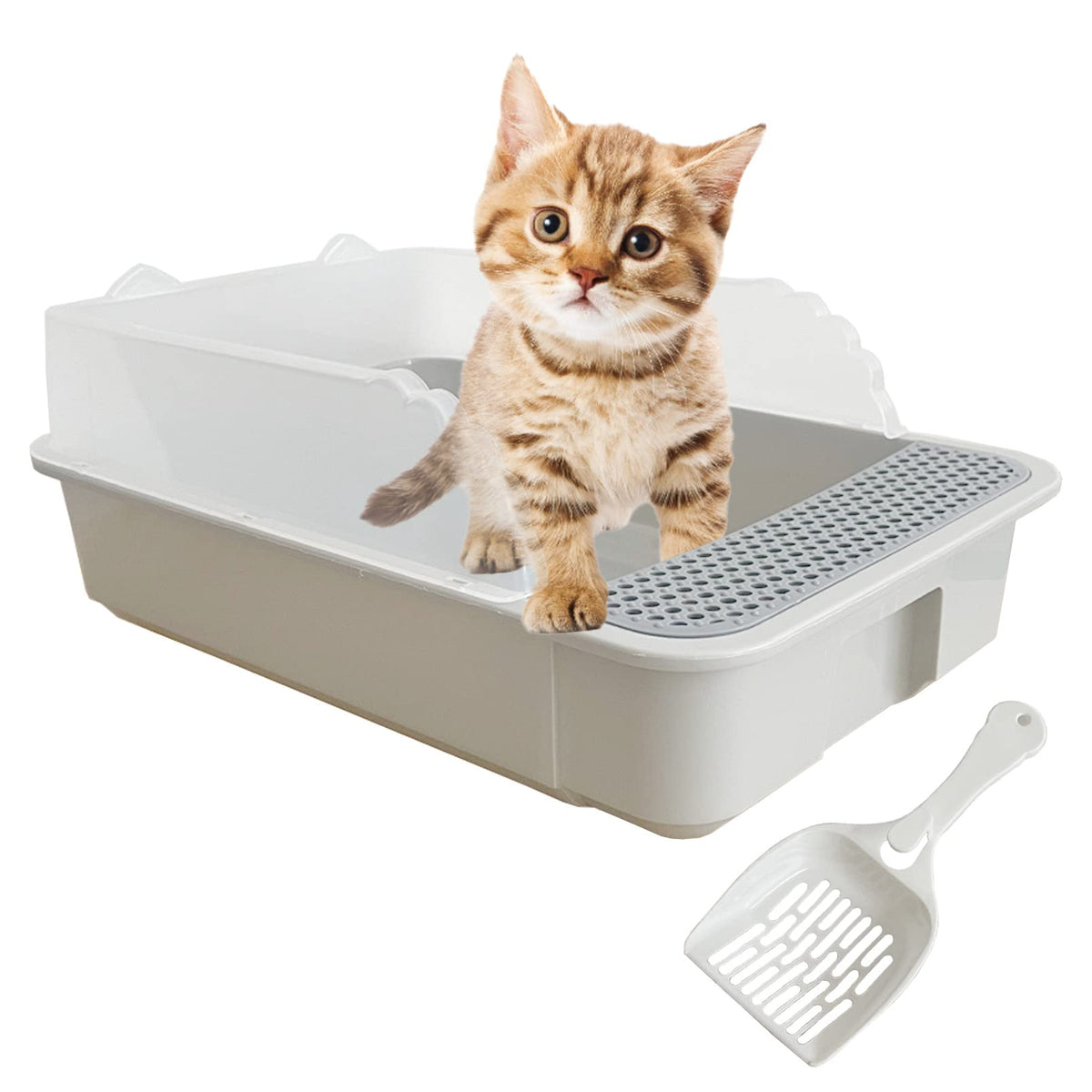 MUYG bandeja para gato pequeño con entrada baja facilita el acceso de gatitos