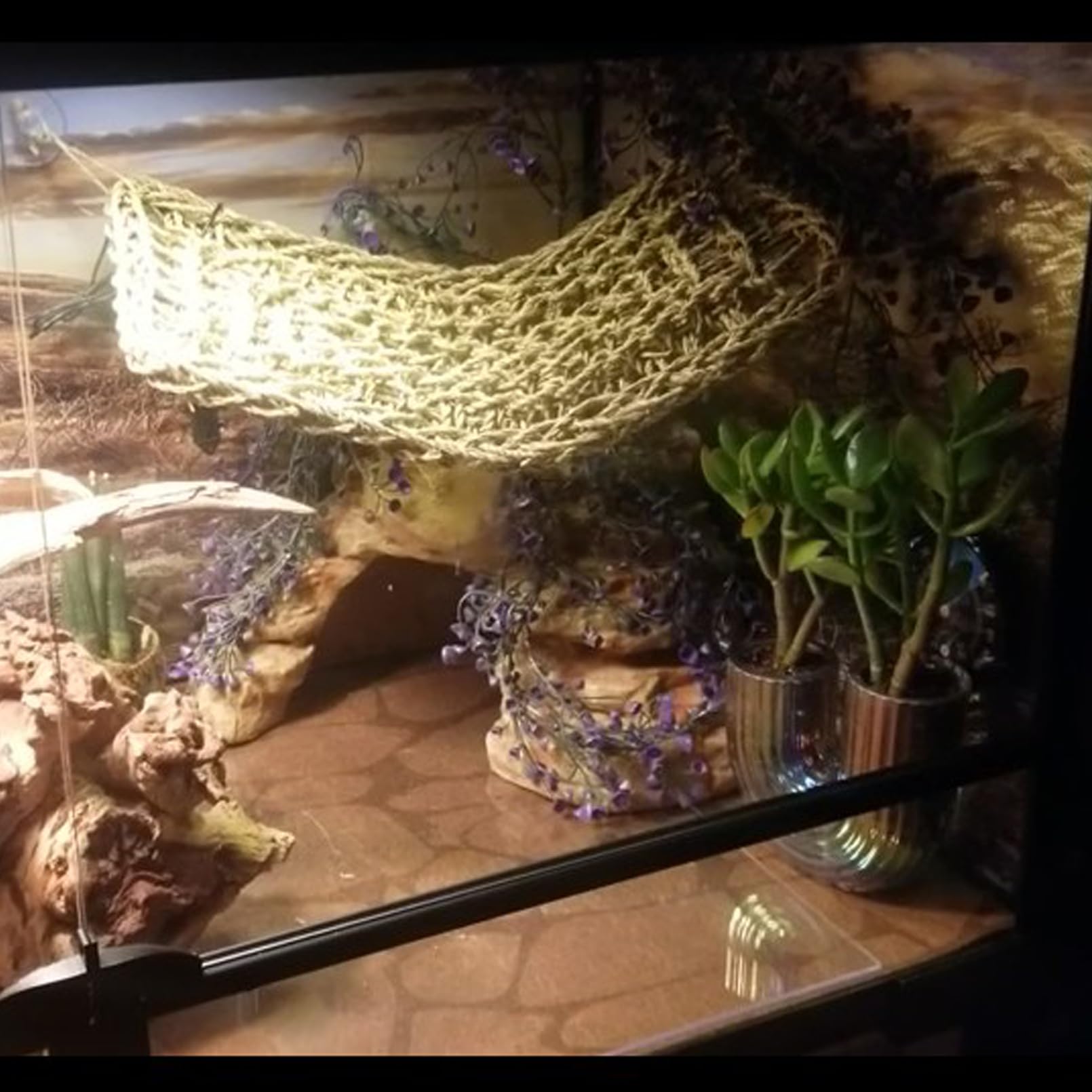 MUYG cama de seagrass natural, textura suave para muda.