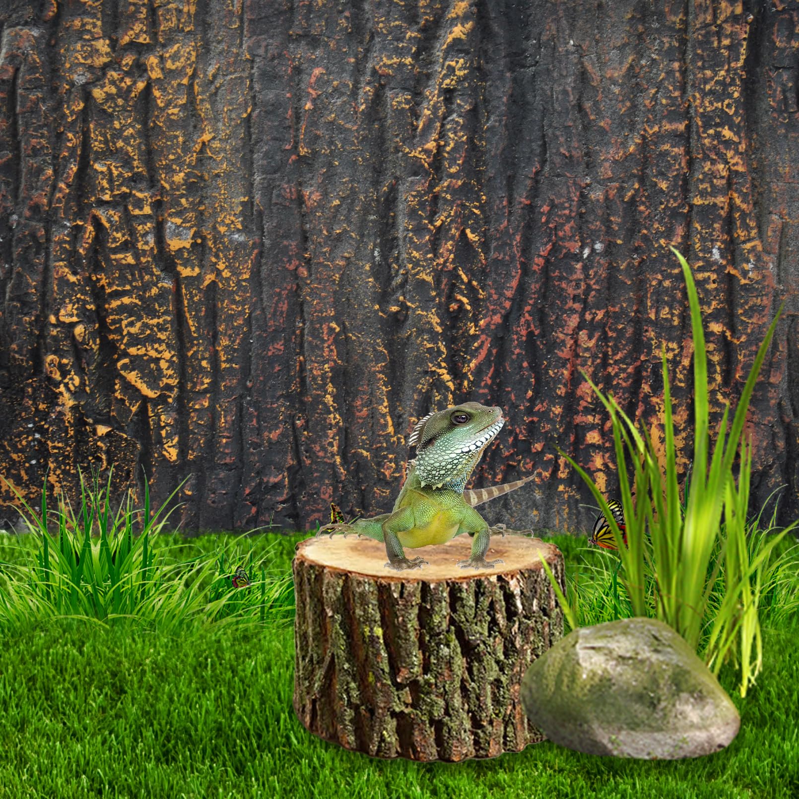 MUYG-espacio-amplio-terrario: espacio de actividad cómodo para reptiles.