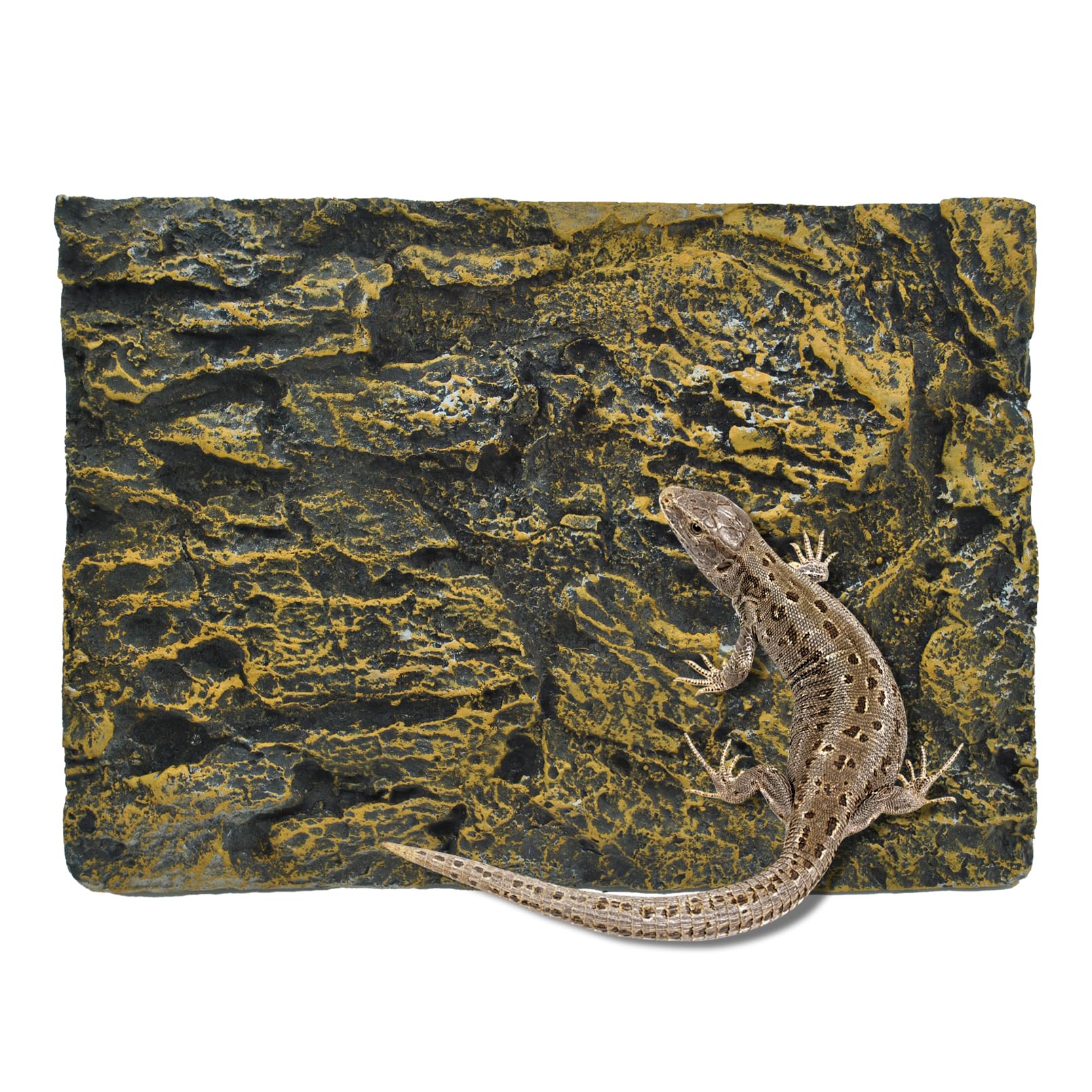 MUYG fondo-tanque-reptil-roca-3d: fondo realista para reptiles que mejora el hábitat.