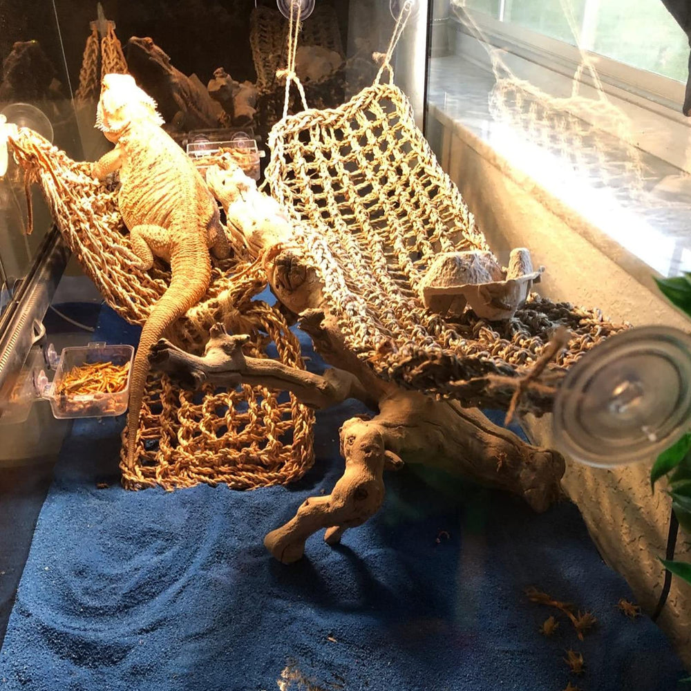 MUYG planta decorativa de 33 pulgadas para terrario.