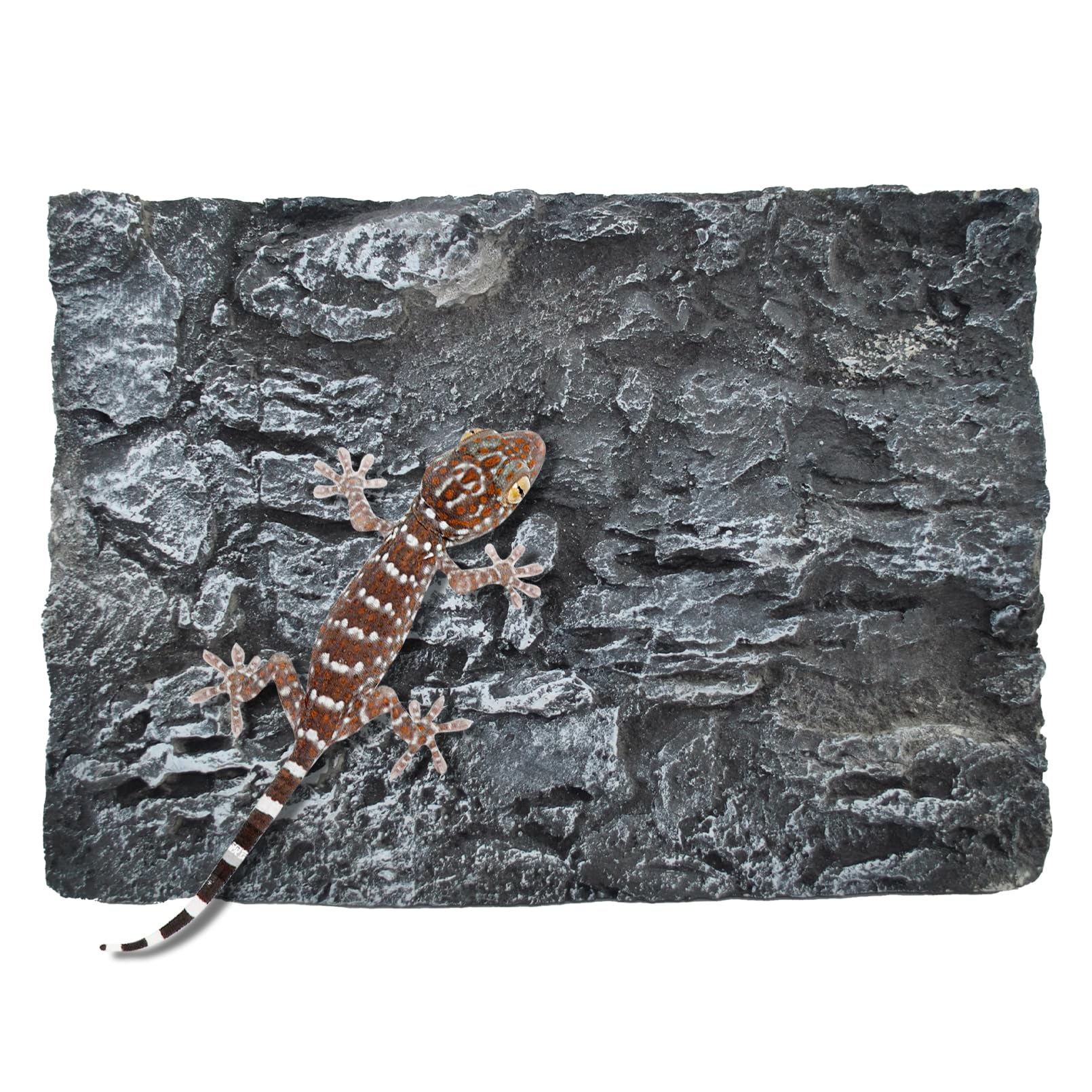 MUYG fondo de tanque reptil roca 3D para trepar