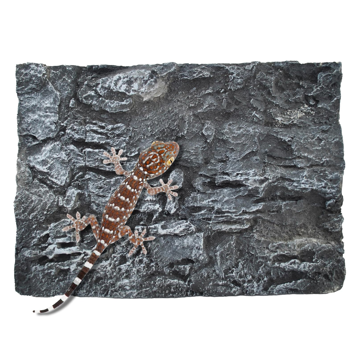 MUYG fondo de tanque reptil roca 3D para trepar