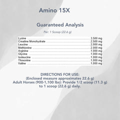 Porción diaria de MVP Amino 15X, guía visual de dosis.