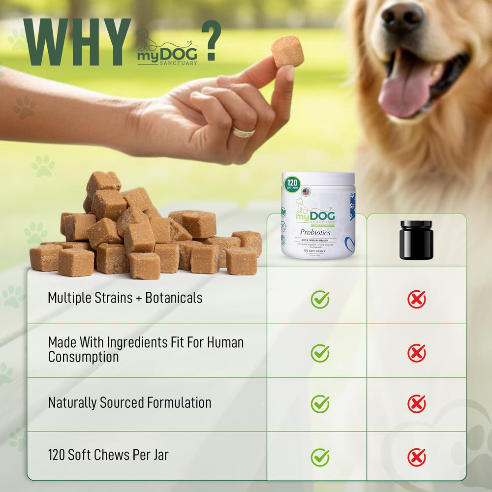 My Dog Sanctuary Probiotics, salud digestiva, soporte para la absorción de nutrientes.