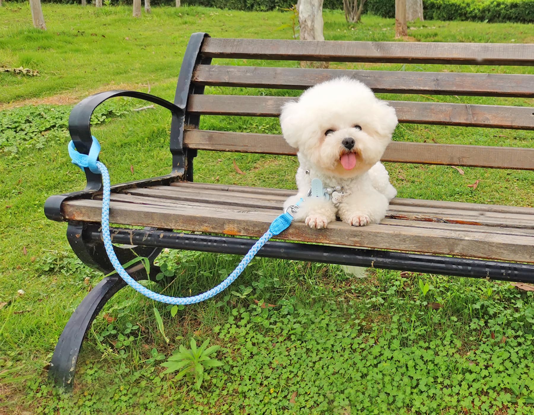 Diseño de nylon resistente de Mycicy para uso diario con perro