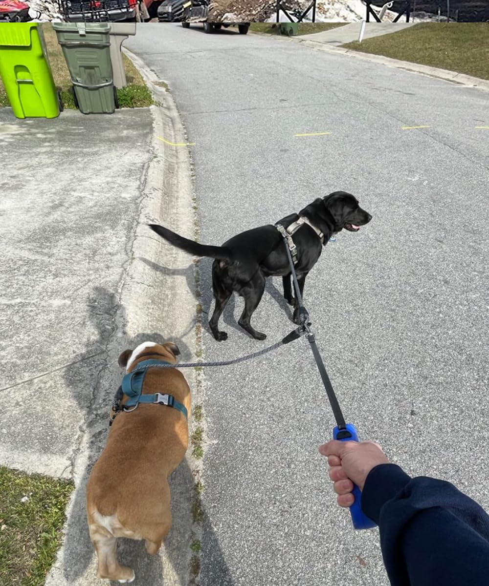 Mycicy diseño resistente para salidas diarias con dos perros.