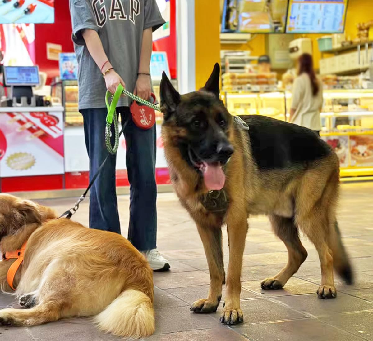 Mycicy tamaño y longitud adecuadas para perros medianos y grandes.