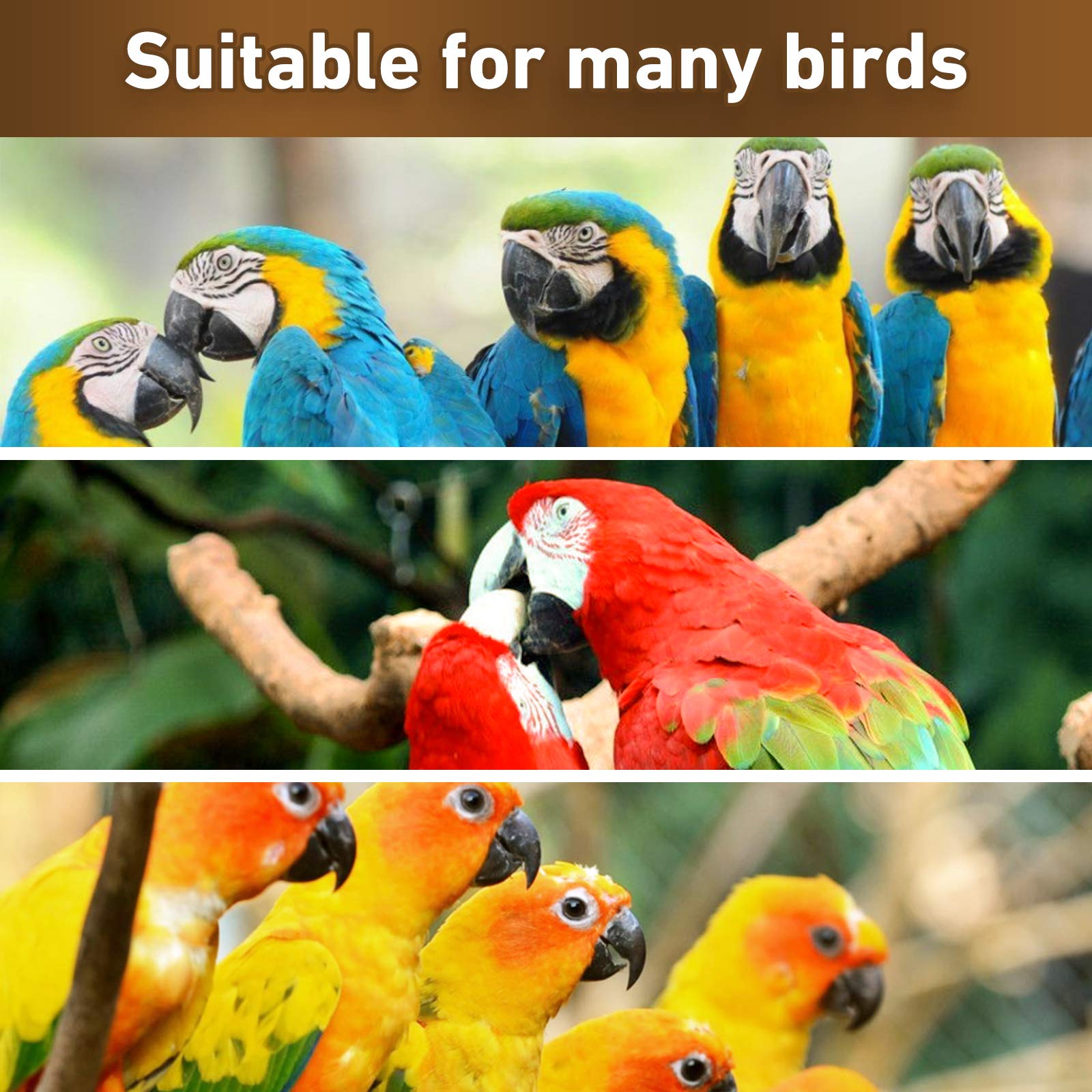 MYFAMIREA Juguete para aves, ayuda a mantener el pico en forma.