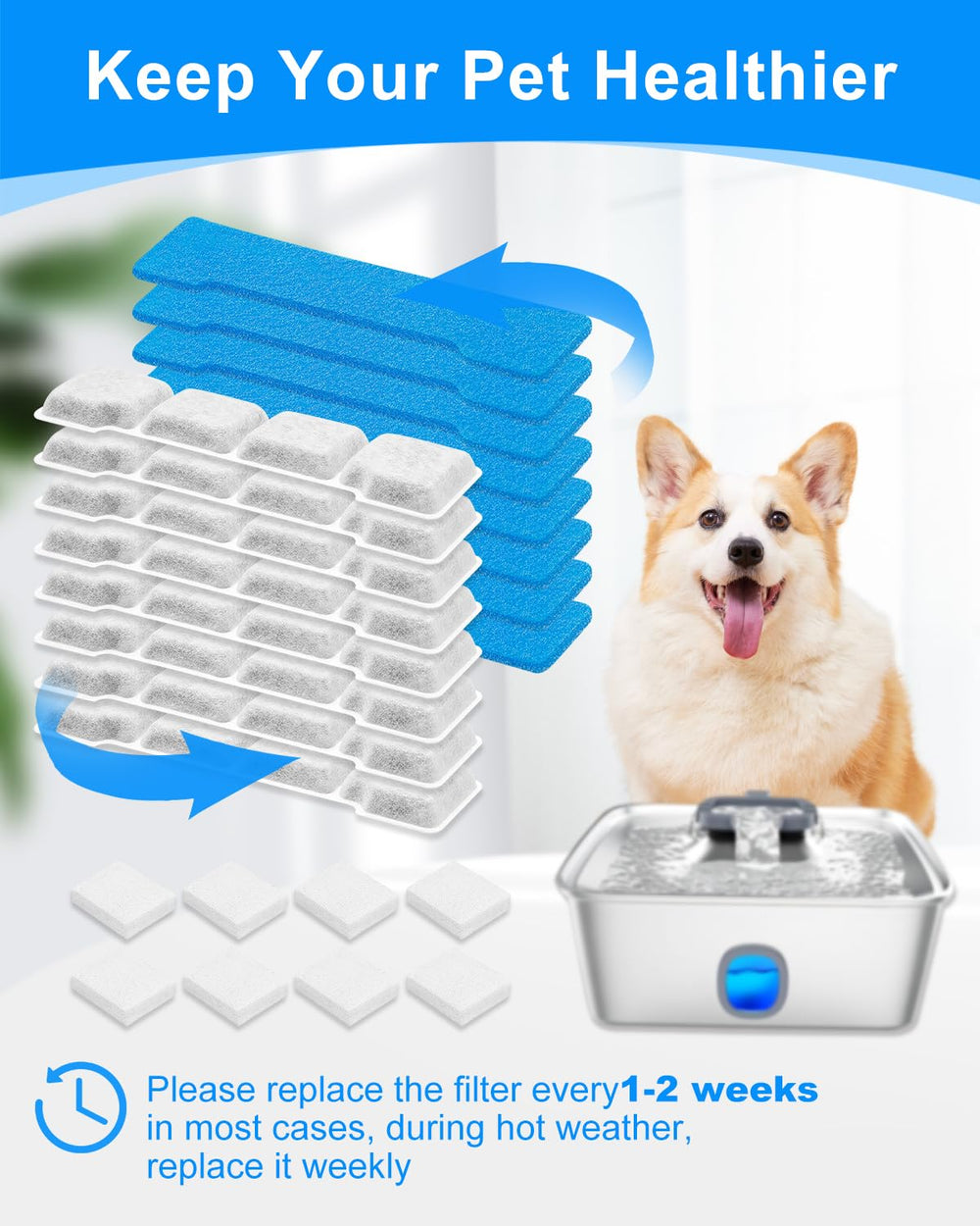MyfatBOSS agua clara tras instalación, para perros