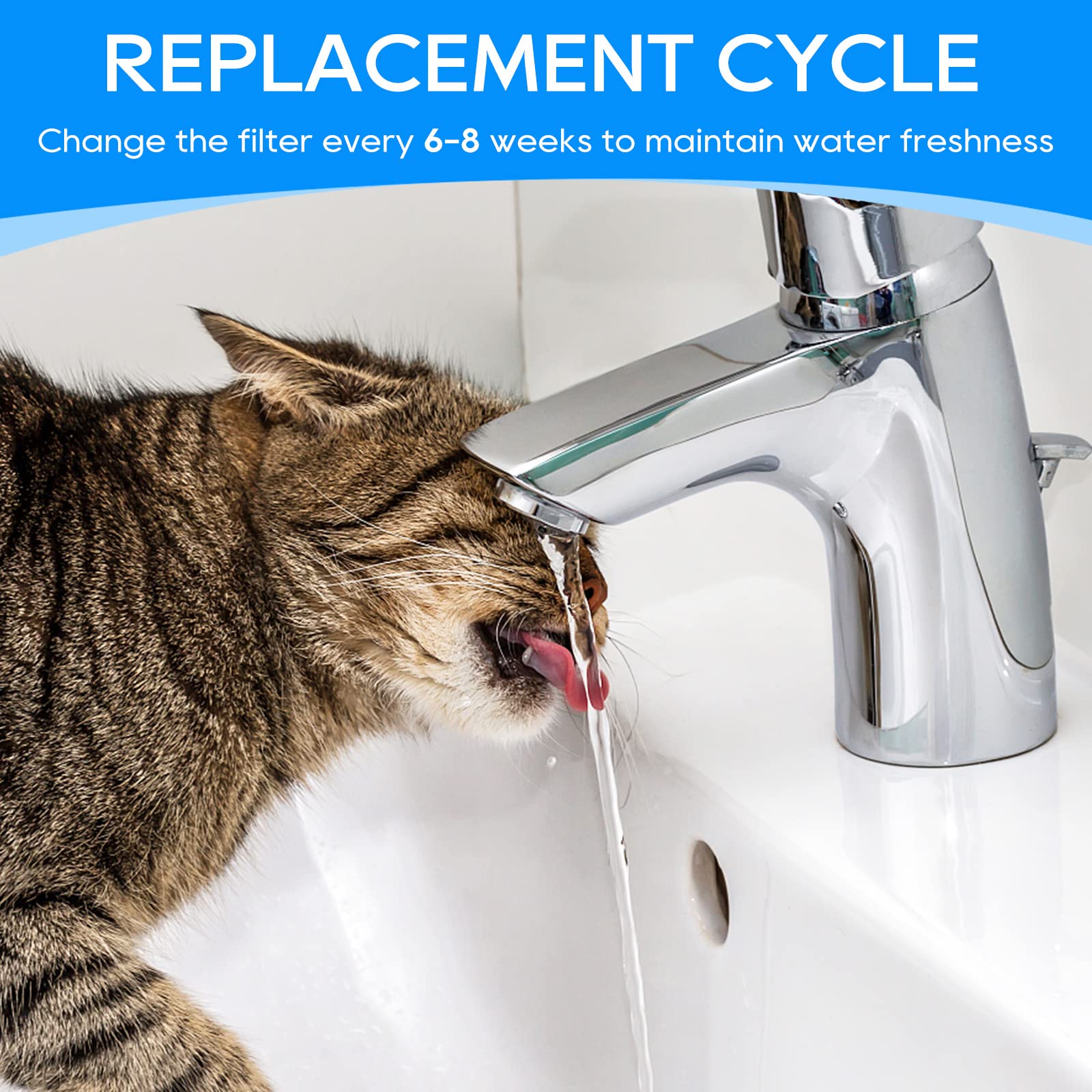 Mantén agua limpia para gatos con filtros MyfatBOSS de alta densidad.