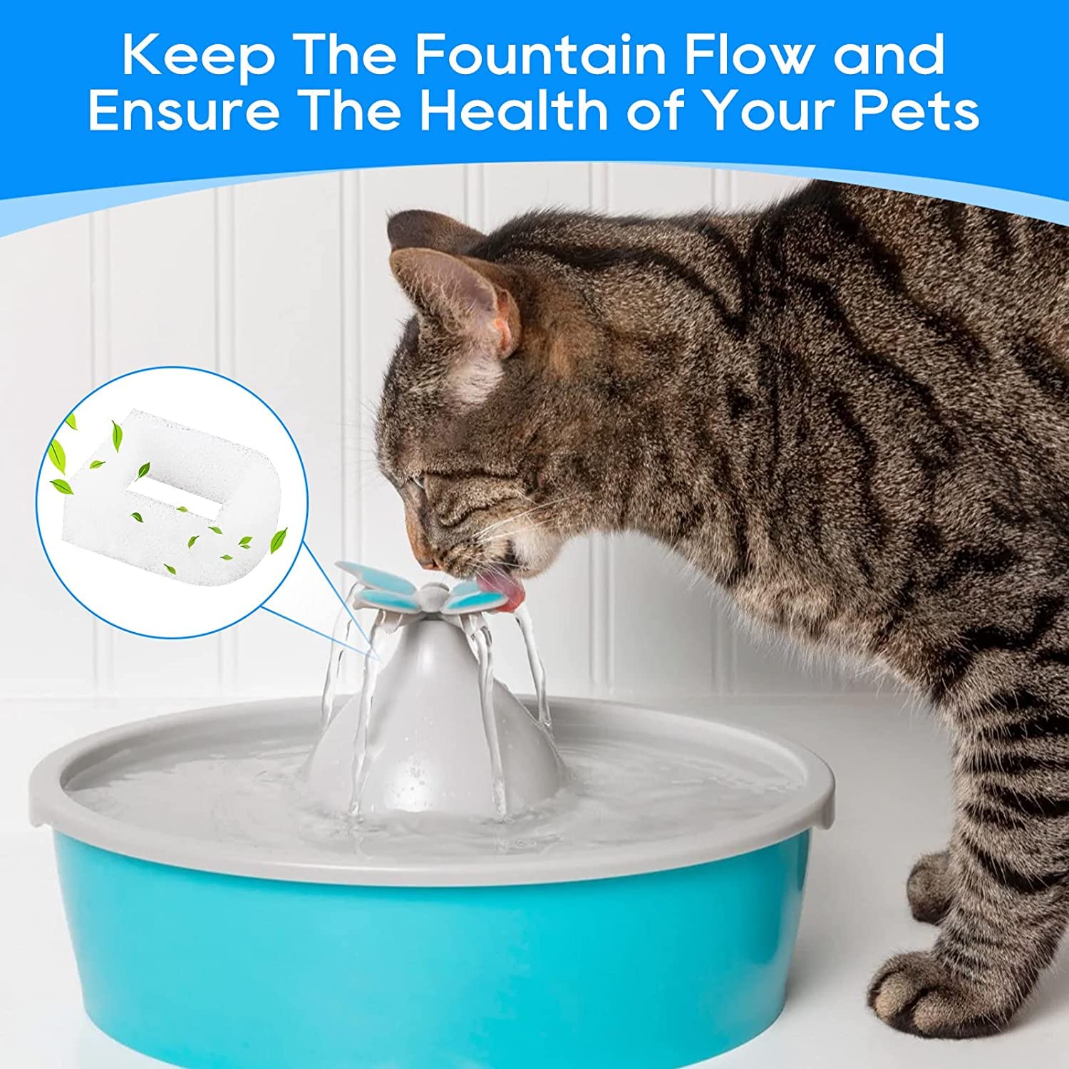 MyfatBOSS protección de la bomba de fuente gatos