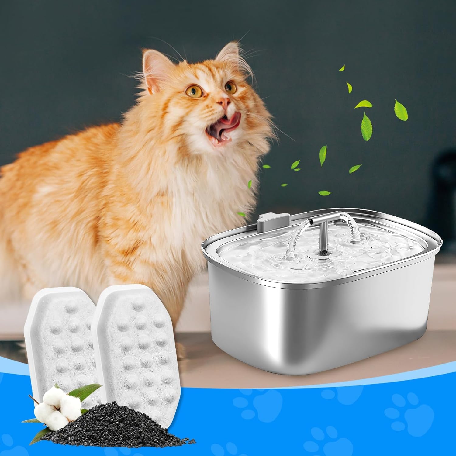 Uso diario con MyfatBOSS ofrece agua más limpia para gatos curiosos