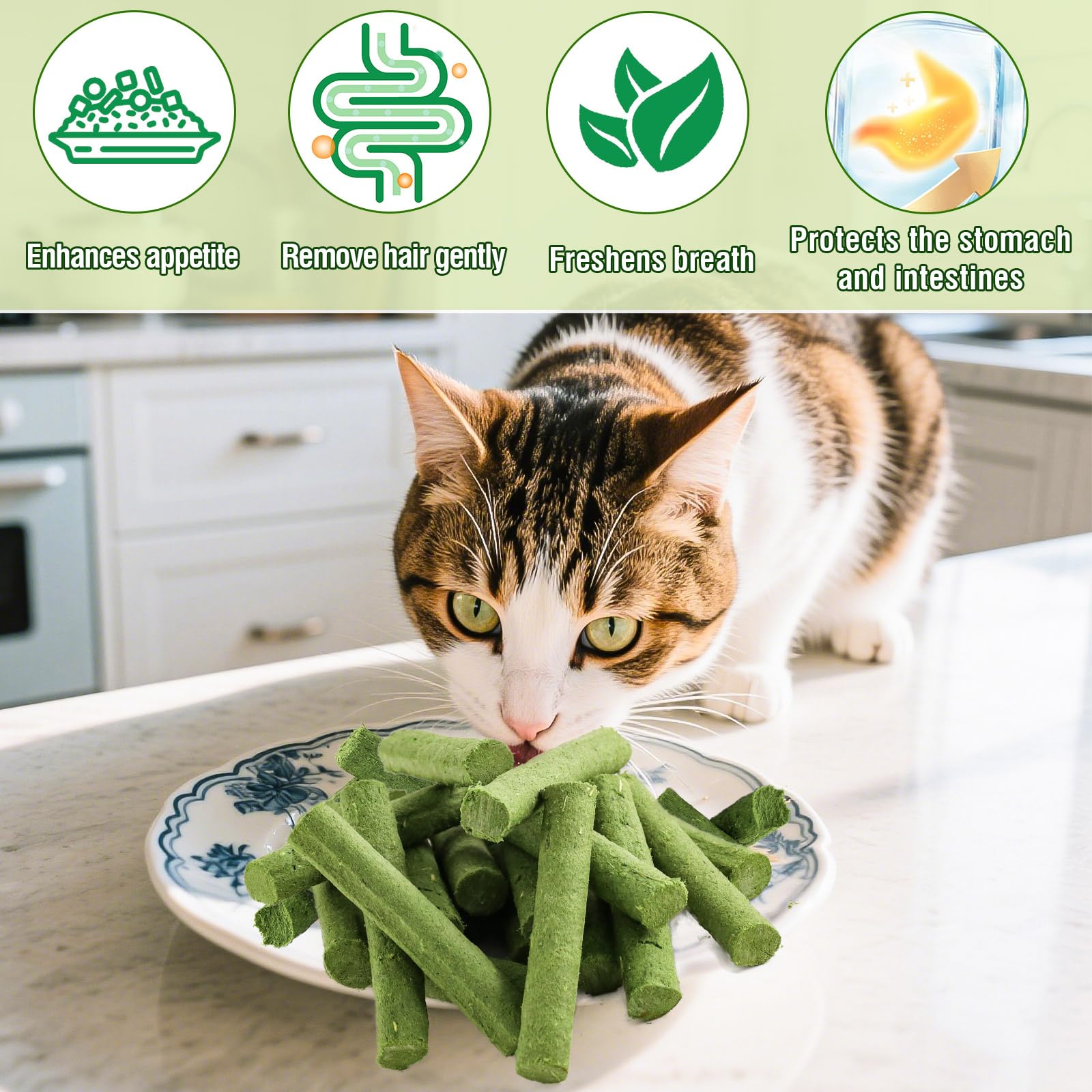 Myfoodog hierba-natural-gatos: hierba fresca sin aditivos para apoyar masticación y hábitos saludables.
