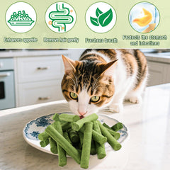 Myfoodog hierba-natural-gatos: hierba fresca sin aditivos para apoyar masticación y hábitos saludables.