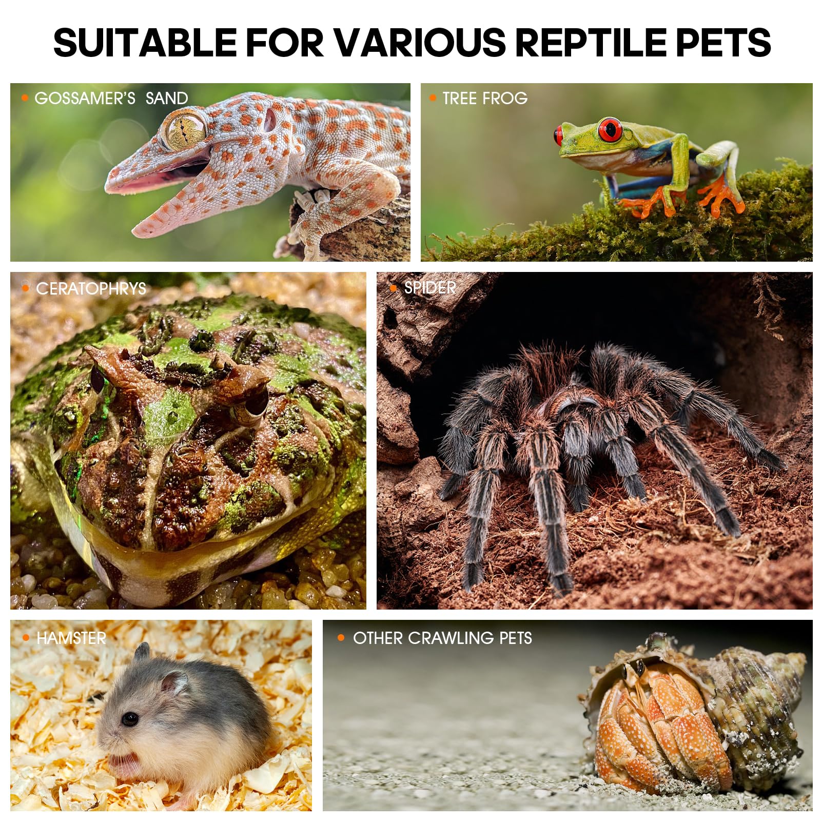 MYGIIKAKA-habitacion-pequenos-animales, refugio seguro para crías.