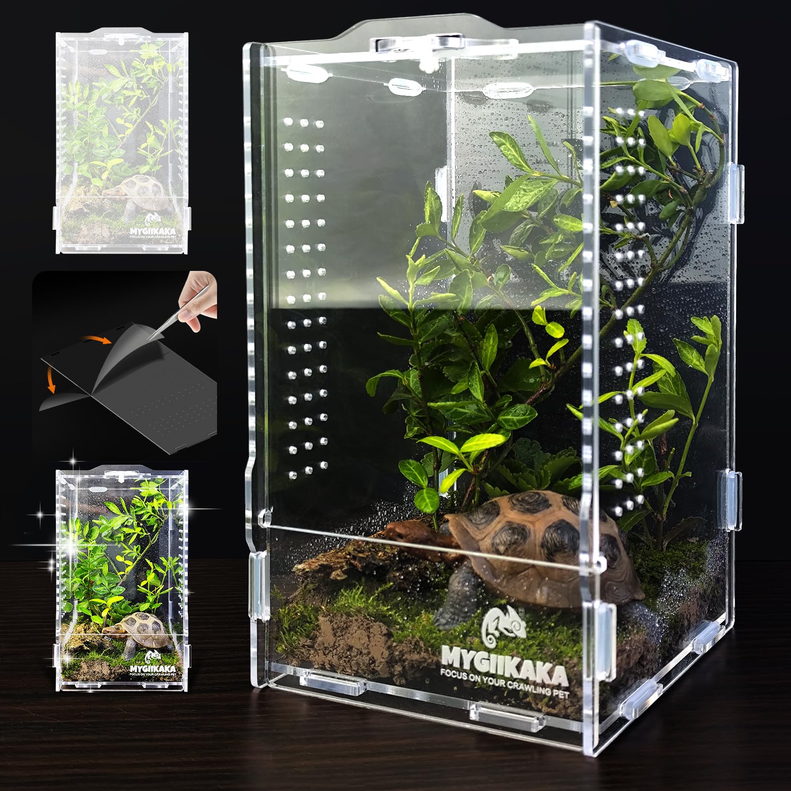 MYGIIKAKA habitat-aracnido-acrilico, observación clara para arañas y crías sin abrir el tanque.