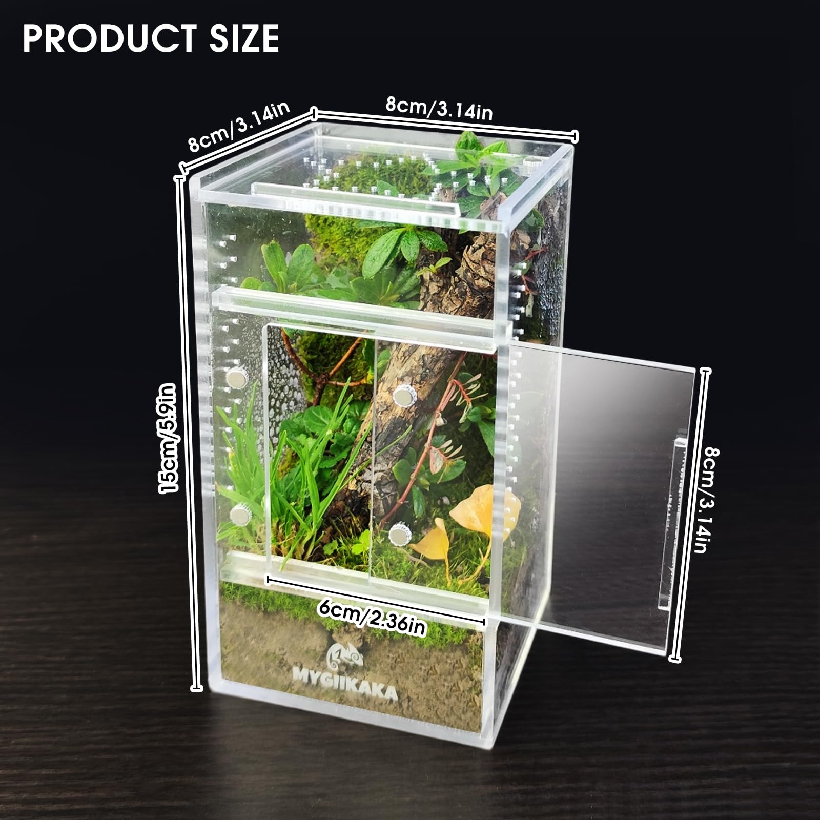 MYGIIKAKA terrario-insectos-mini, micro-hábitat ideal para ver insectos de cerca.
