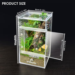 MYGIIKAKA terrario-insectos-mini, micro-hábitat ideal para ver insectos de cerca.