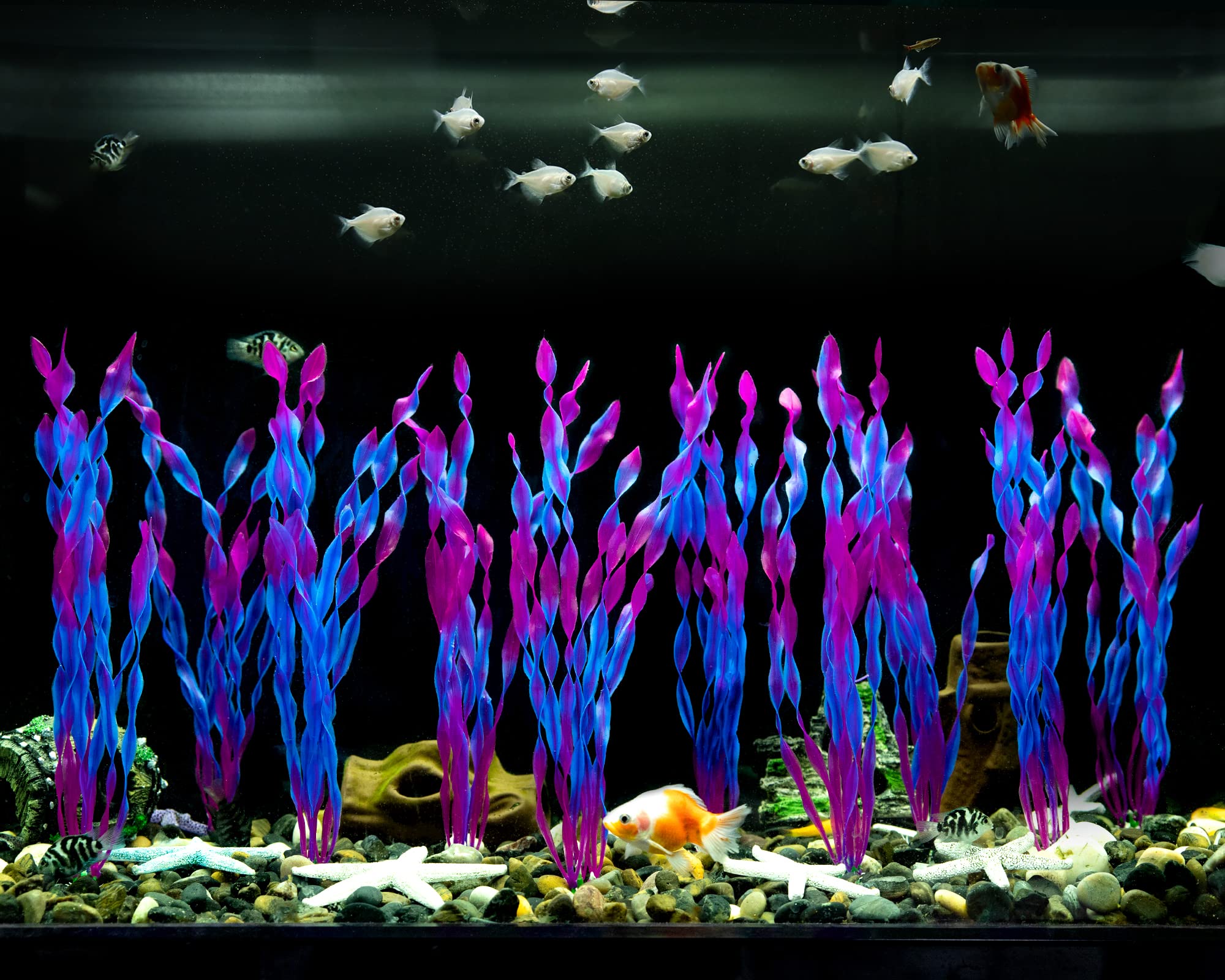 Algas artificiales MyLifeUNIT con cerámica resistente para acuario.