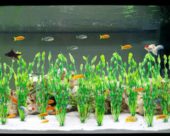 MyLifeUNIT planta decorativa adecuada para acuarios grandes.