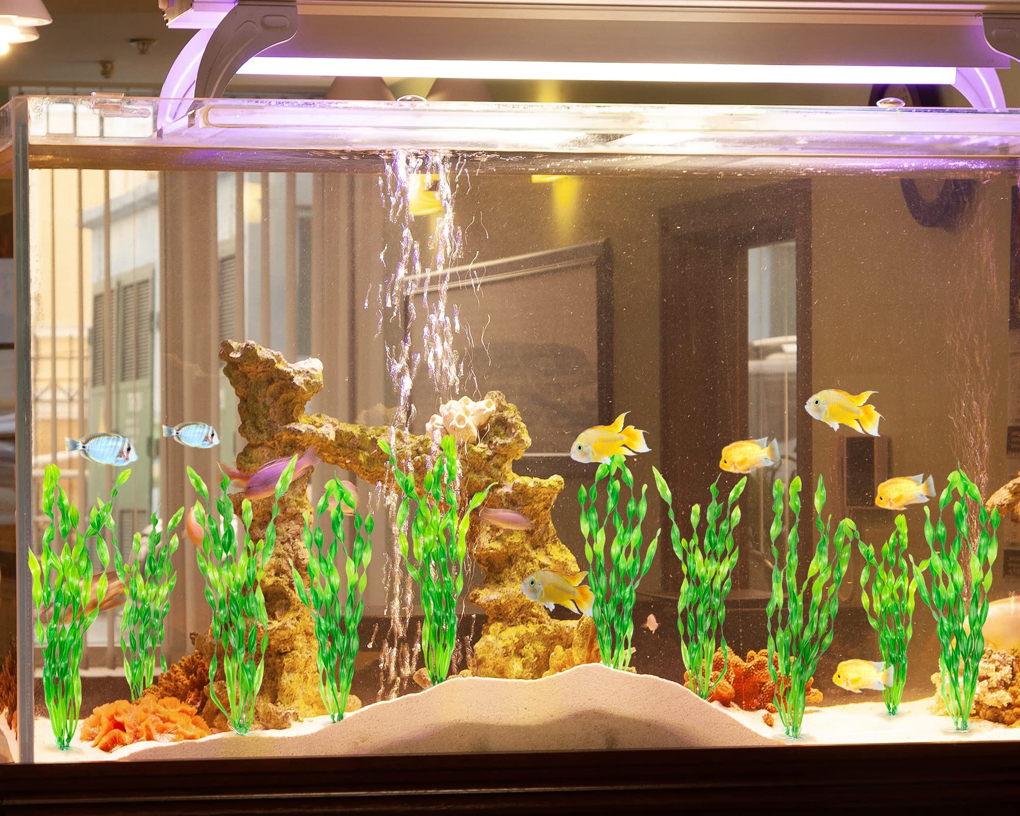 MyLifeUNIT plantas aptas para agua dulce y salada.
