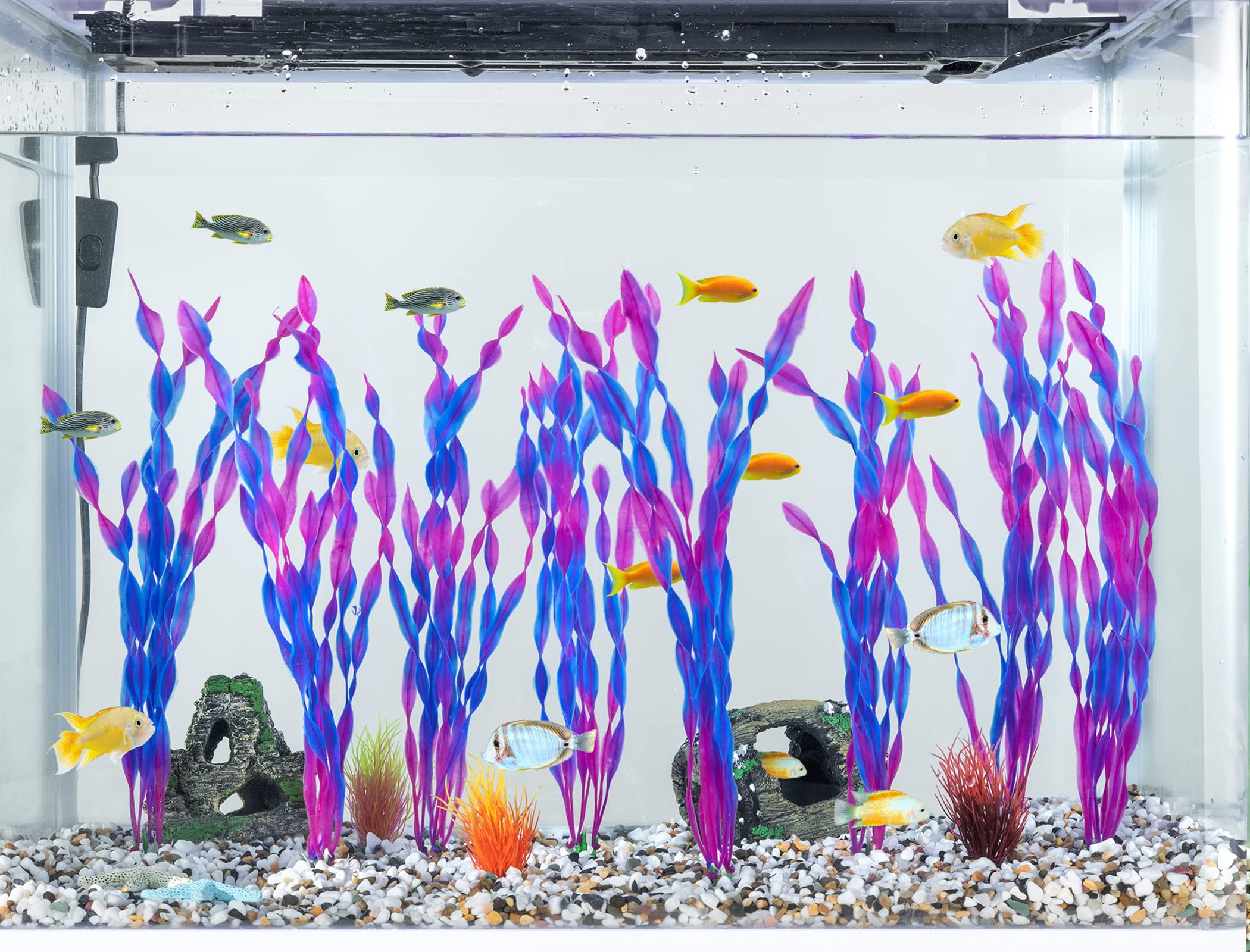 Planta de acuario con colores permanentes para un look duradero.
