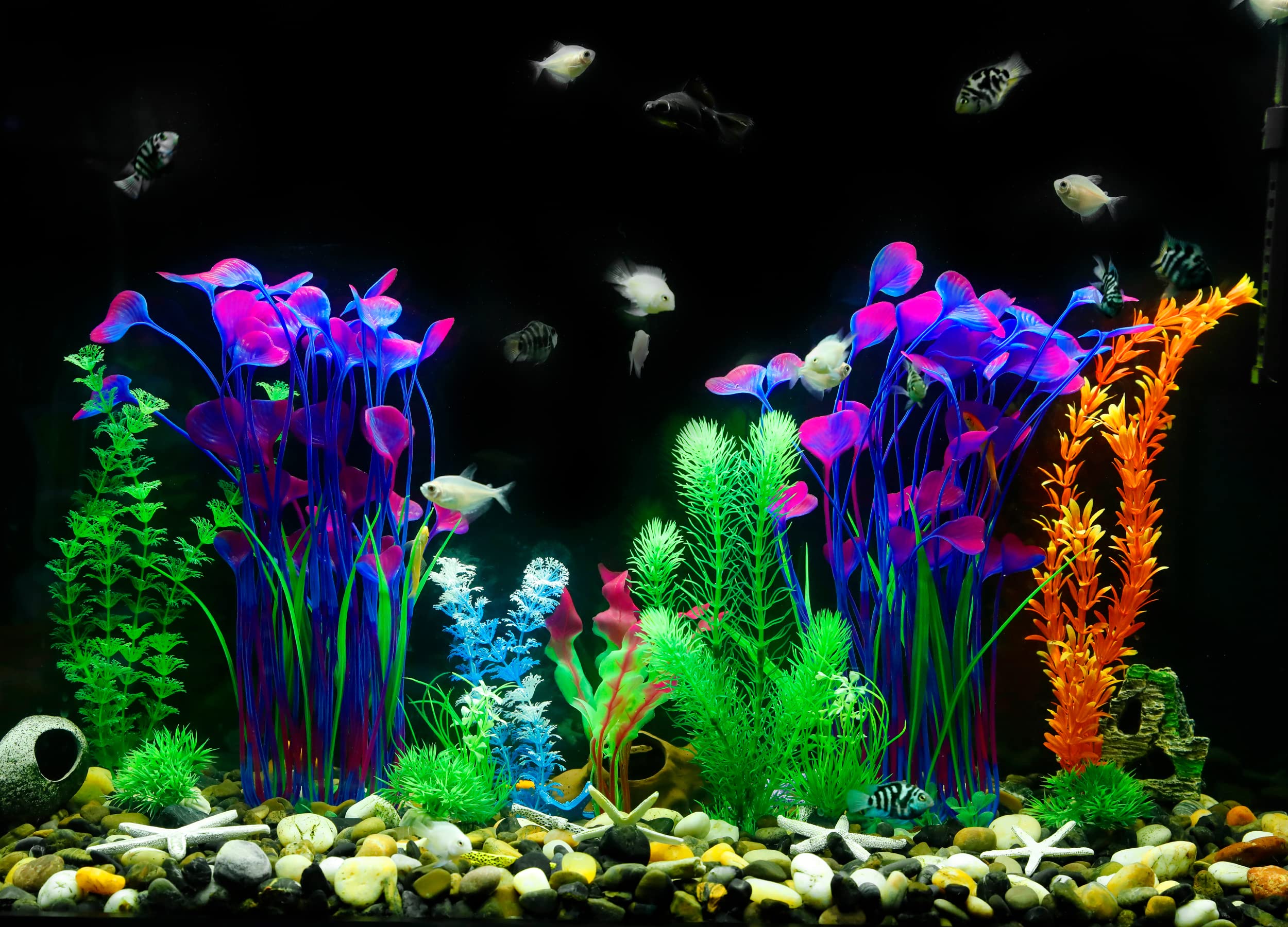 MyLifeUNIT plantas realistas para acuarios dulce o salado.