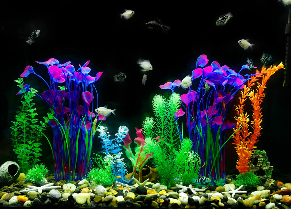MyLifeUNIT plantas realistas para acuarios dulce o salado.
