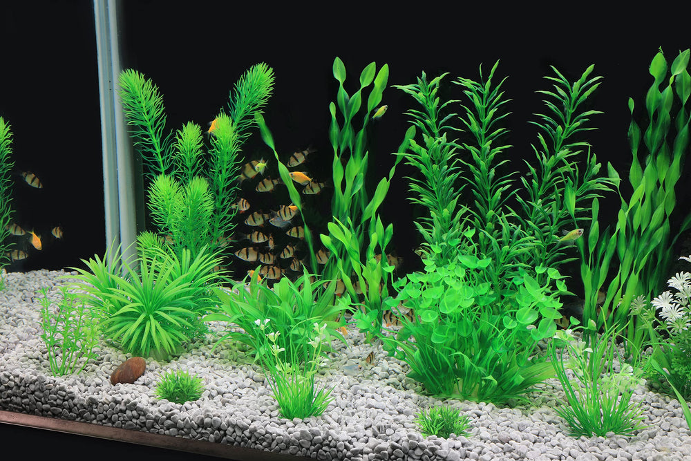 MyLifeUNIT planta artificial para acuario con base cerámica pesada evita flotar.