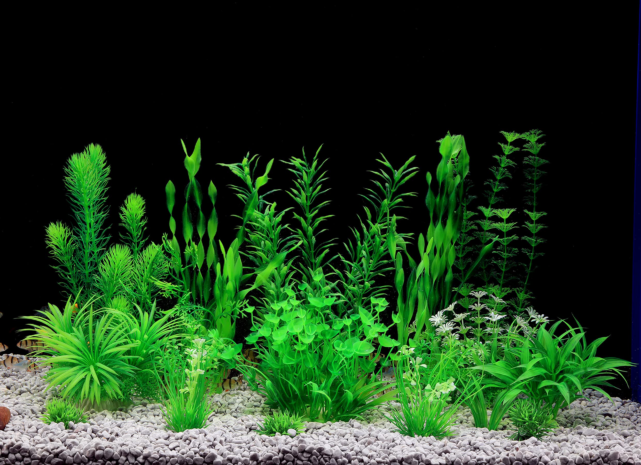 Plantas MyLifeUNIT para acuario de colores duraderos y aptas para agua dulce y salada.