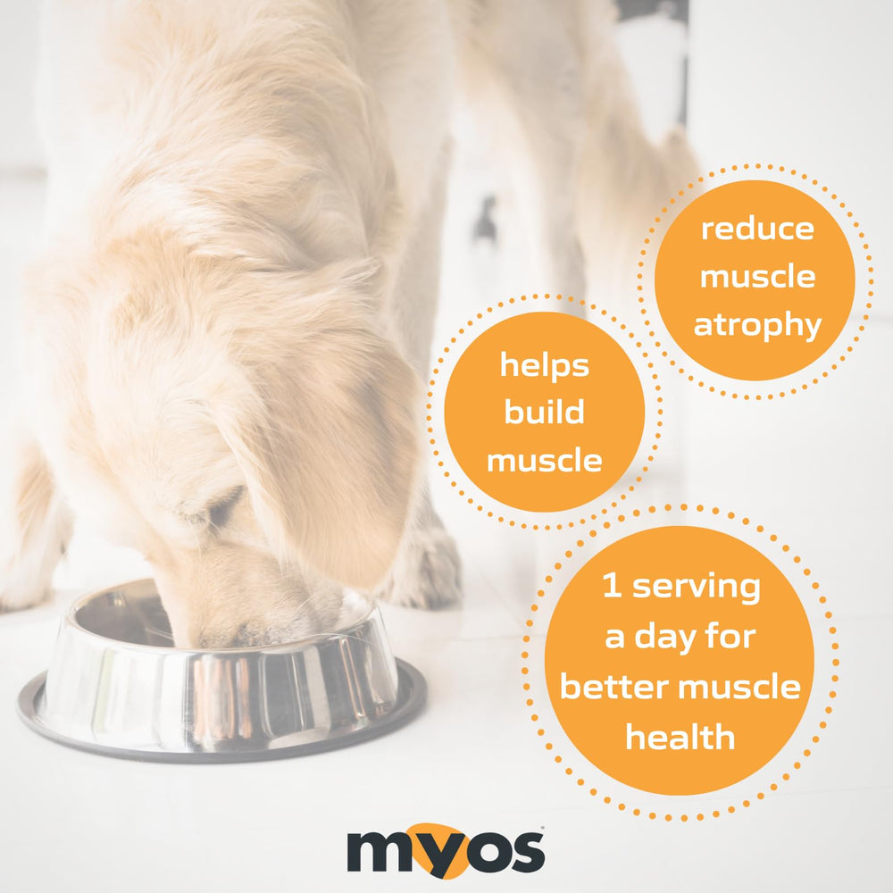 MYOS Canine Muscle Formula, batido: mezcla suave para la administración diaria.