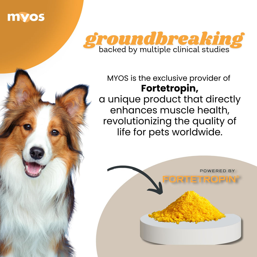 MYOS Canine Muscle Formula, etiqueta: detalle de ingredientes y beneficios.