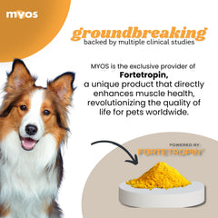 MYOS Canine Muscle Formula, etiqueta: detalle de ingredientes y beneficios.