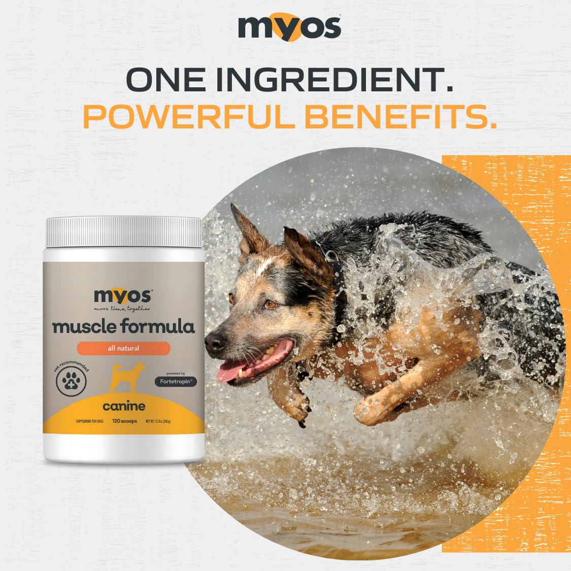 MYOS Canine Muscle Formula: fabricado en EE. UU. y Alemania, con control de calidad.