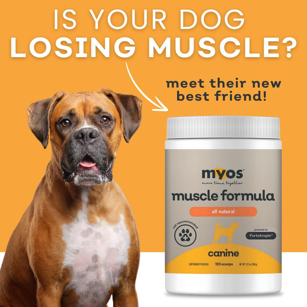 Fortetropin en MYOS Canine Muscle Formula: ingrediente natural para apoyo muscular.