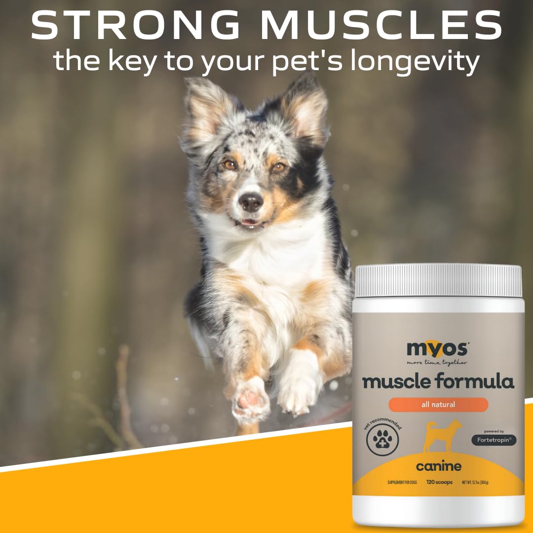 MYOS Canine Muscle Formula: ayuda a mantener masa muscular para un peso saludable.
