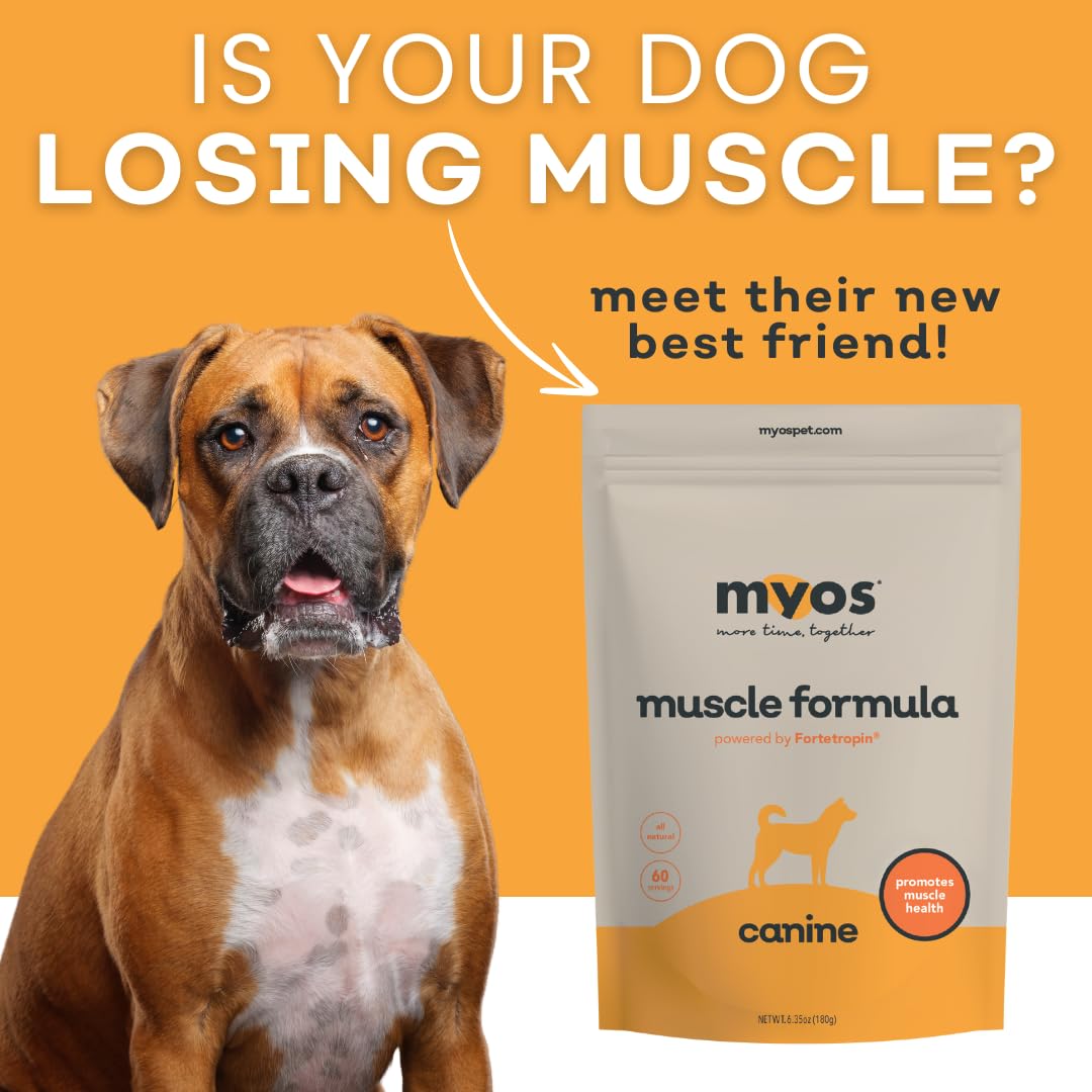 MYOS Canine Muscle Formula, polvo: forma conveniente de incorporar Fortetropin.