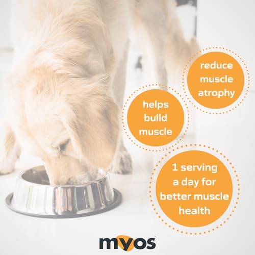 MYOS Canine Muscle Formula: respaldo veterinario para la salud muscular de perros.