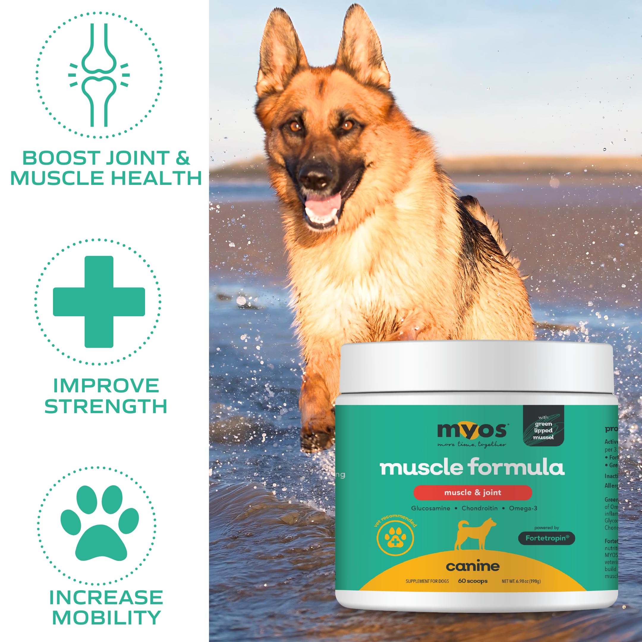 MYOS ingredientes naturales sin gluten para bienestar canino seguro.
