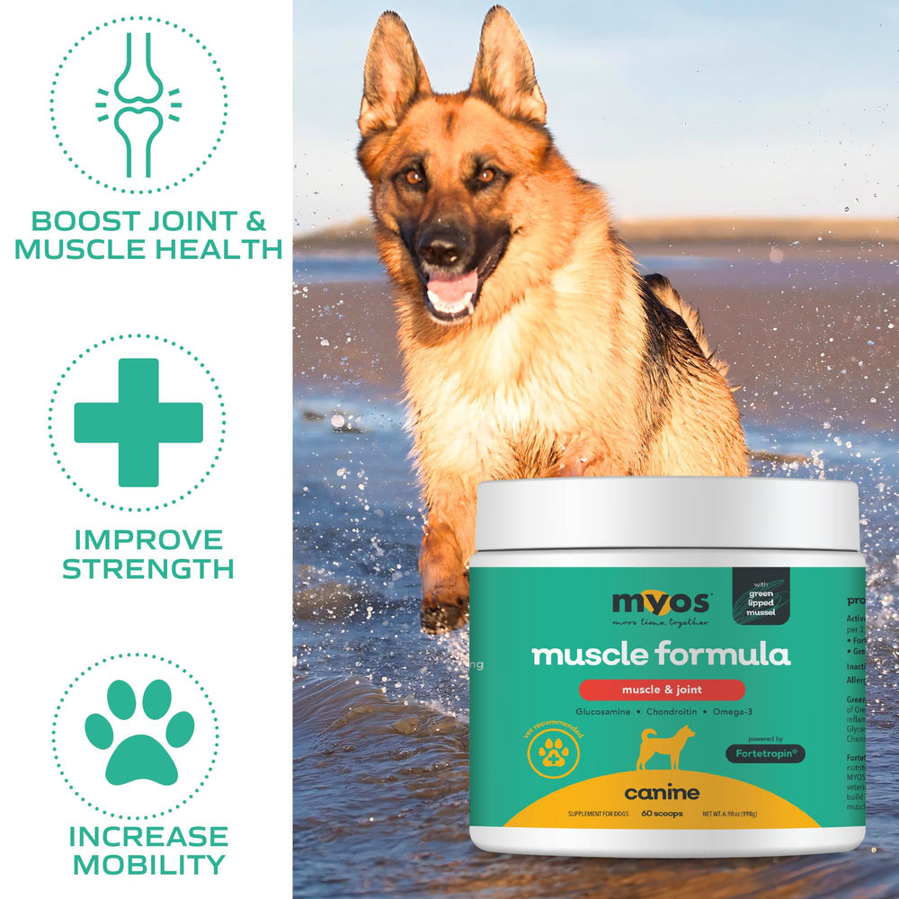 MYOS ingredientes naturales sin gluten para bienestar canino seguro.