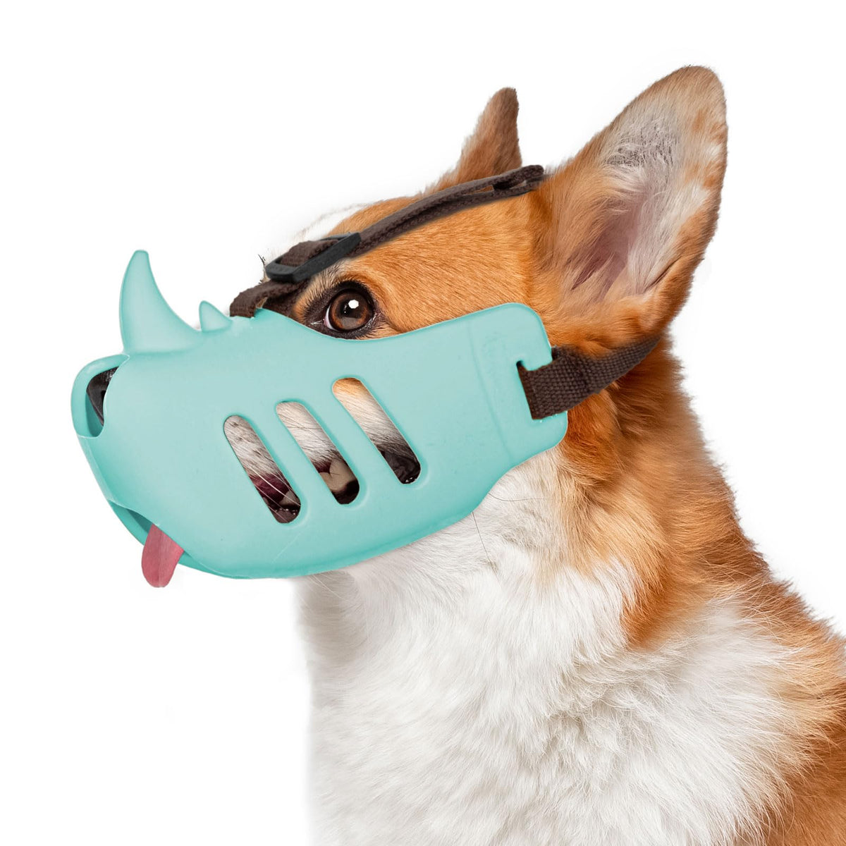 Bozal NACOCO Rinoceronte azul, frontal, diseño ligero y cómodo para perros.