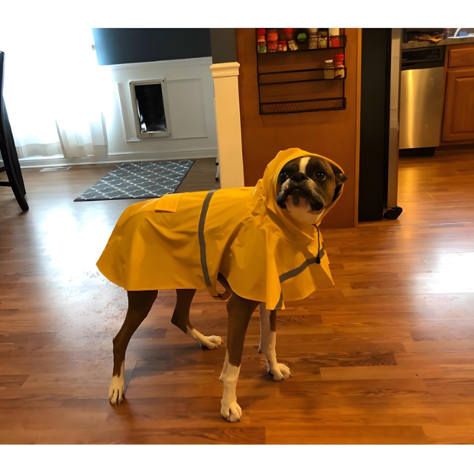 NACOCO capa impermeable con capucha y cinturón, protección ligera para salidas.