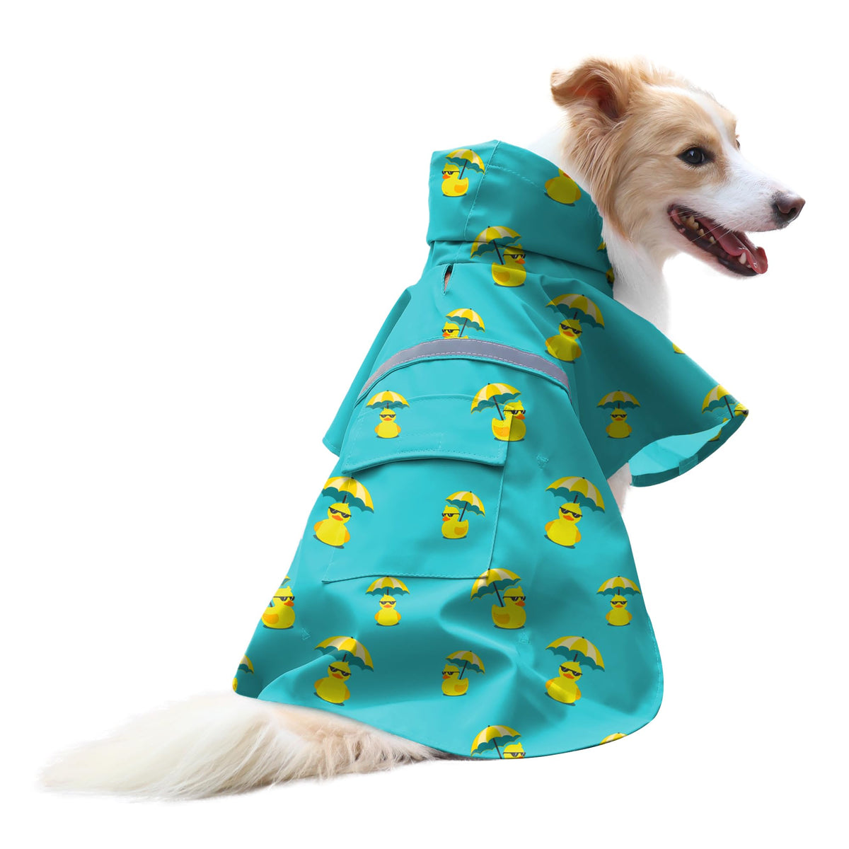 NACOCO capa de lluvia para perro grande, vista frontal, mantiene al perro seco