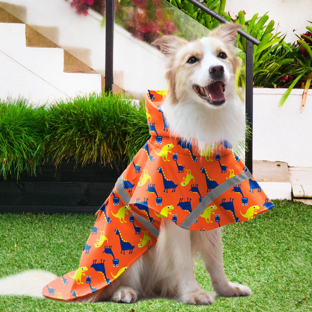 NACOCO diseño con dinosaurio naranja, estilo divertido para días de lluvia