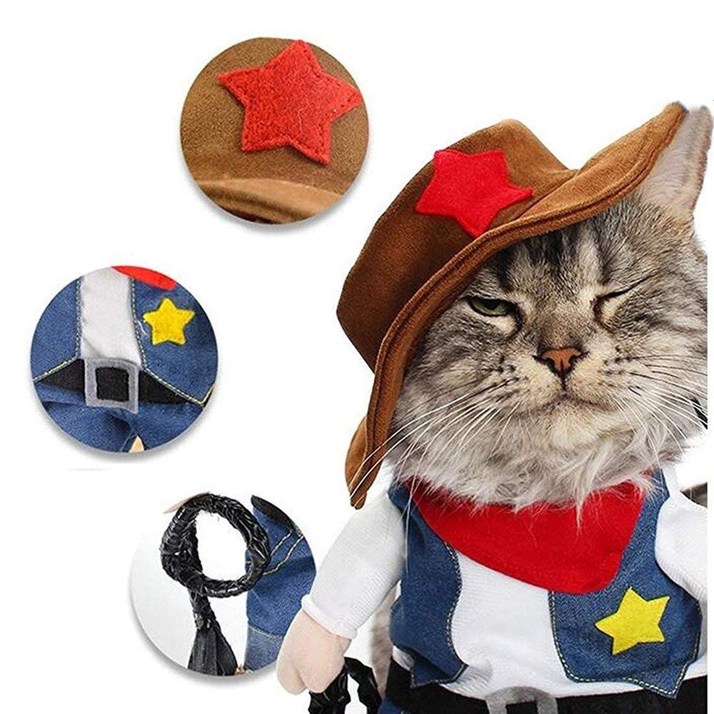 NACOCO disfraz cowboy para perro, detalle sombrero azul de cerca.