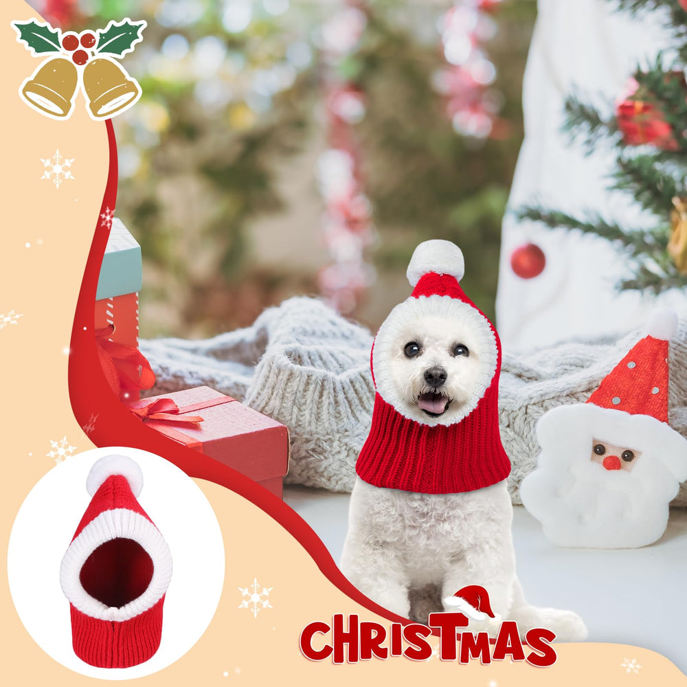 Gorro navideño de NACOCO en modelo canino para foto de familia