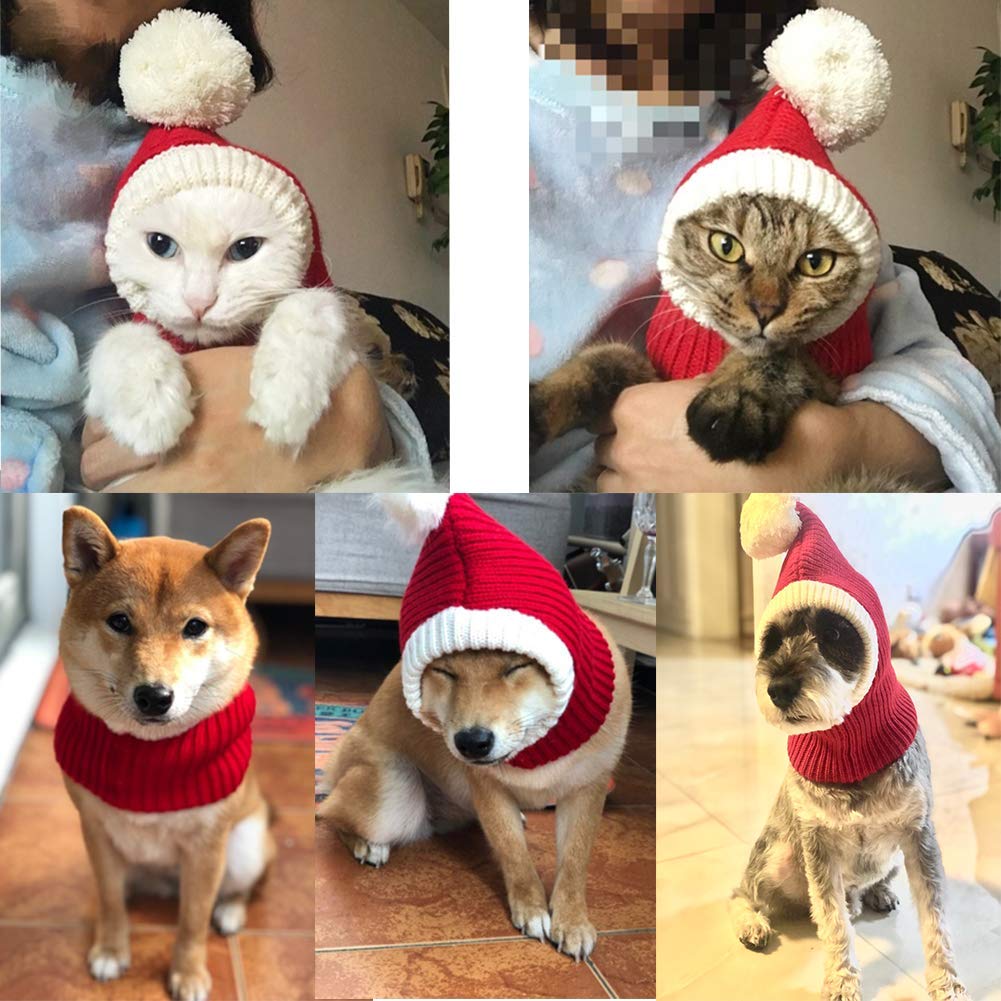 Gorro navidad para perro con ambiente festivo de NACOCO